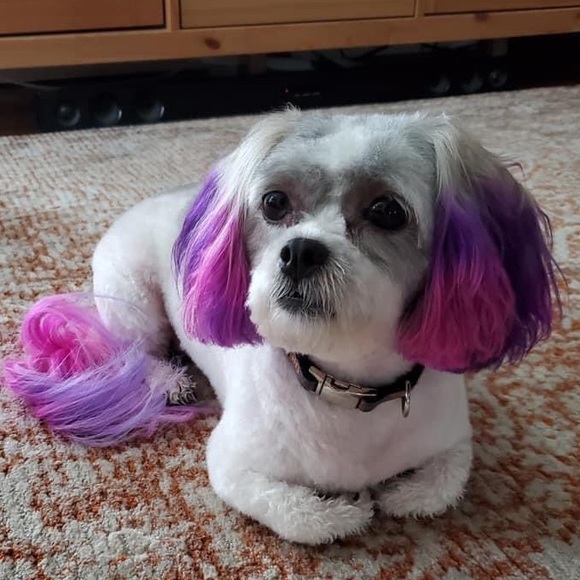 Meet your Posher, Leandra - Picture 2 of 13